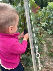 IMG-20250829-WA0002 